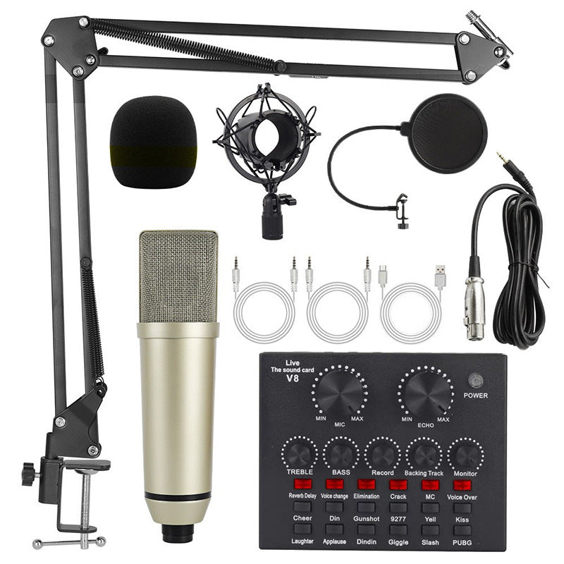 Microphone Setups