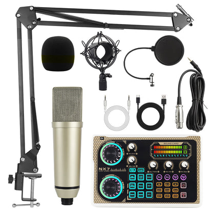 Microphone Setups