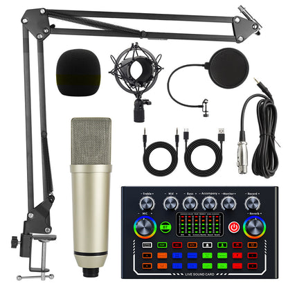 Microphone Setups