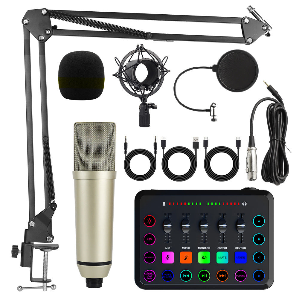 Microphone Setups