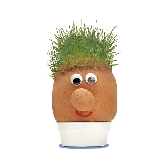 Mr Grass Head