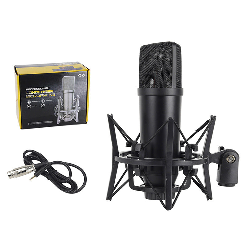 Microphone Setups