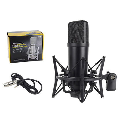Microphone Setups