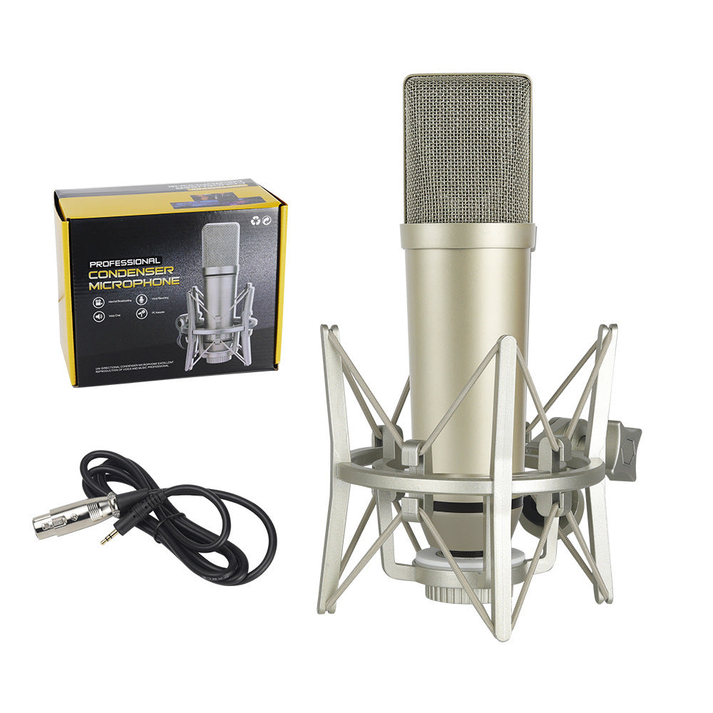 Microphone Setups