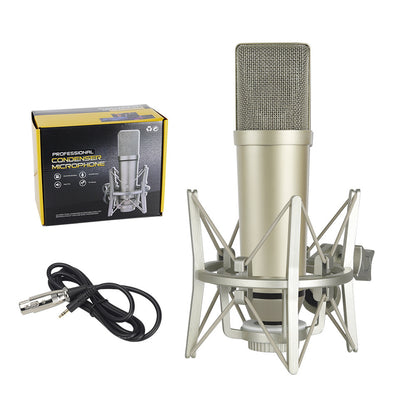 Microphone Setups