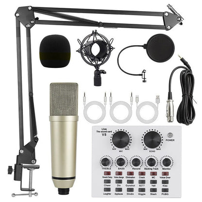 Microphone Setups