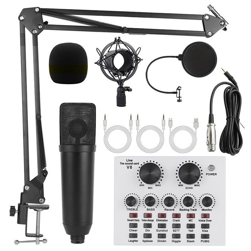 Microphone Setups