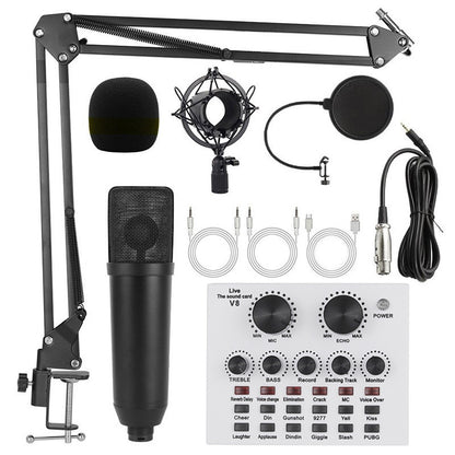 Microphone Setups